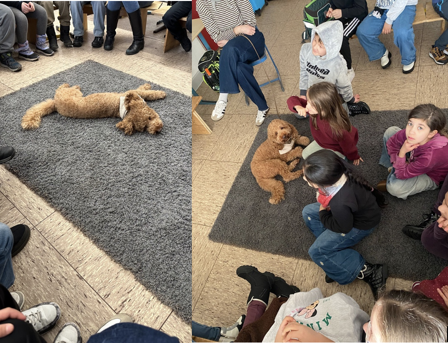 Bildschirmfoto%202026-02-22%20um%2019.04.36